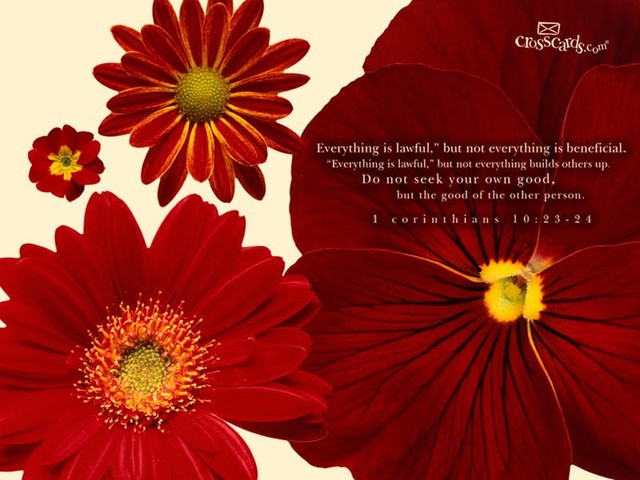 1 Corinthians 10:23-24
