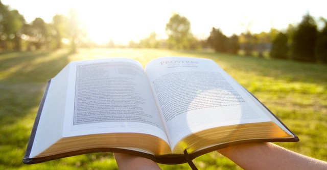 hands holding open Bible in bright sunny field, truth one of the seven pillars of wisdom