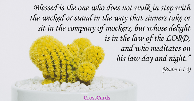 Psalm 1:1-2 Scripture Card