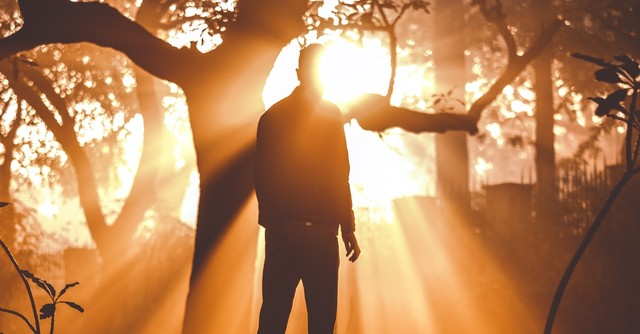 man standing in bright sunlight pouring through forest trees, blessed assurance