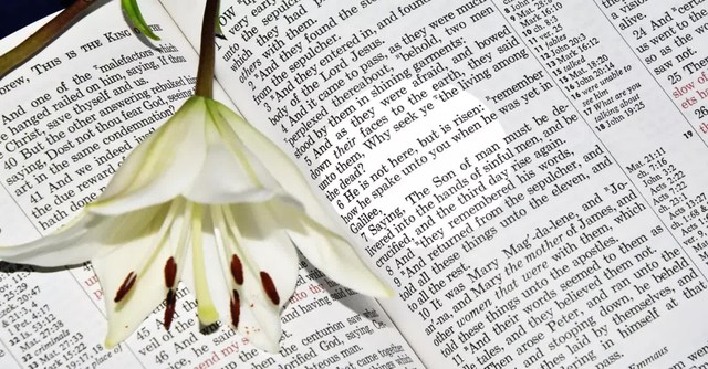 He Is Risen Bible Verses