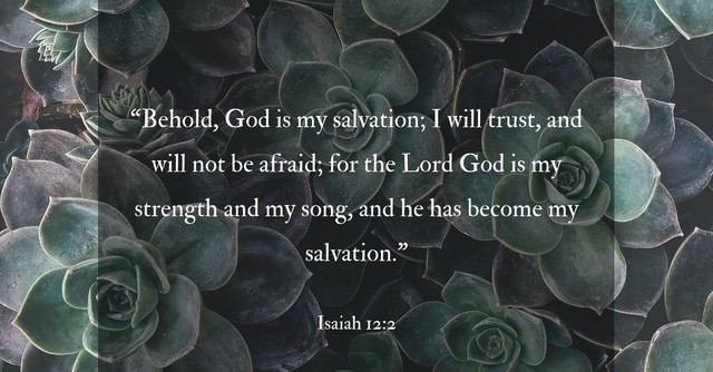 Bible Verses About Trusting God