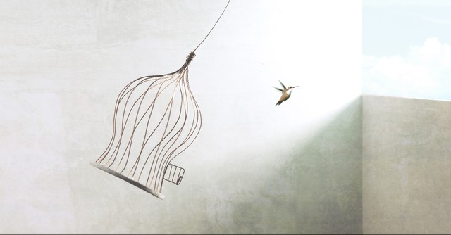 Bird cage opened to a free bird