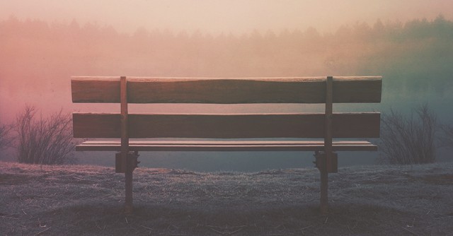 peaceful bench scene in nature with soft light, like a thief in the night