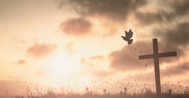 dove flies near a cross