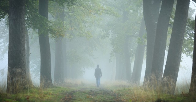 Man walking down a forest path