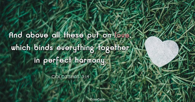 put on love bible verse colossians 3 14