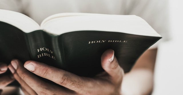 person holding open holy bible