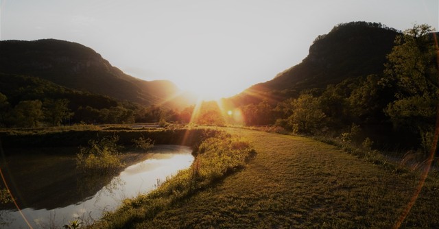 Sunlight on a path by a lake