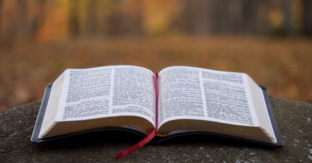 Open Bible
