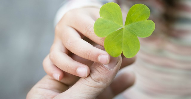 Child holding a four leaf clover