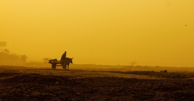 farmer on oxcart