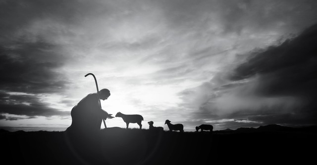 Jesus bending down to feed sheep