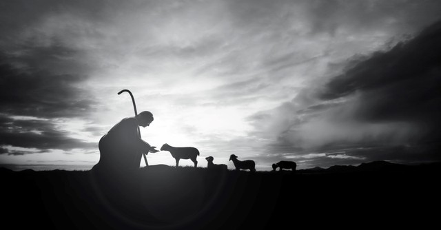 Silhouette of a shepherd tending to sheep