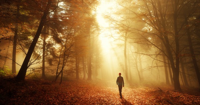 walk by faith not by sight