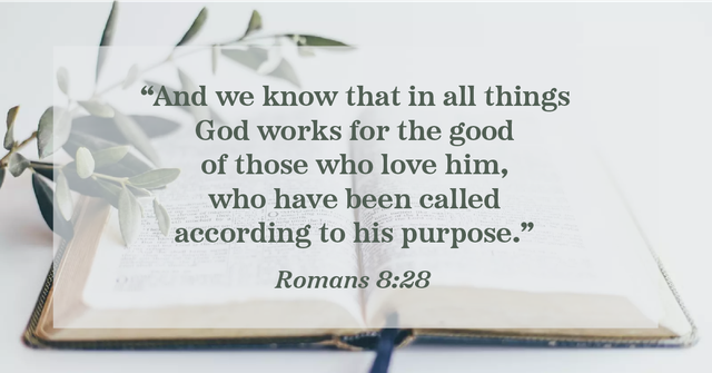 Romans 8:28