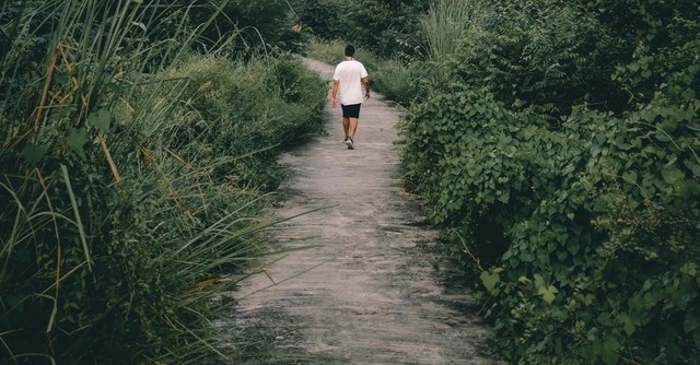 Man walking away from the camera, down a scrubby nature path