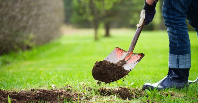 A person using a shovel to dig a hole in the grass