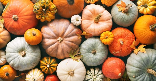 fall pumpkins, thanksgiving games