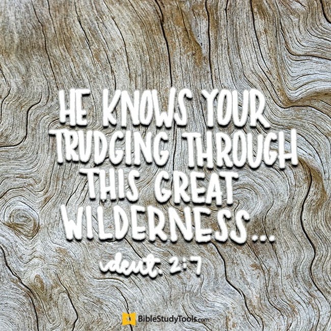 With Us in the Wilderness (Deuteronomy 2:7) - Your Daily Bible Verse ...