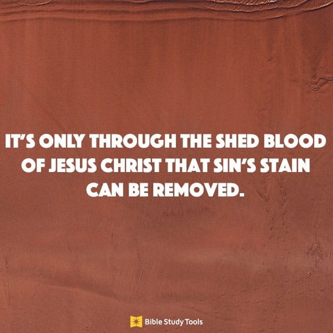 The Blood of Forgiveness and Cleansing - Your Daily Bible Verse