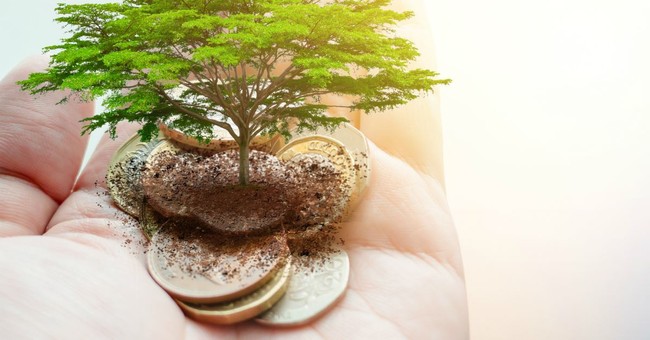 palm full of coins with dirt and tree growing from center