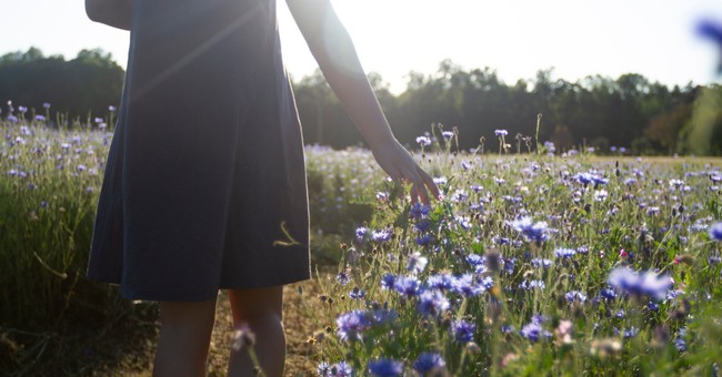 woman walking through field of lavender wildflowers in sunlight