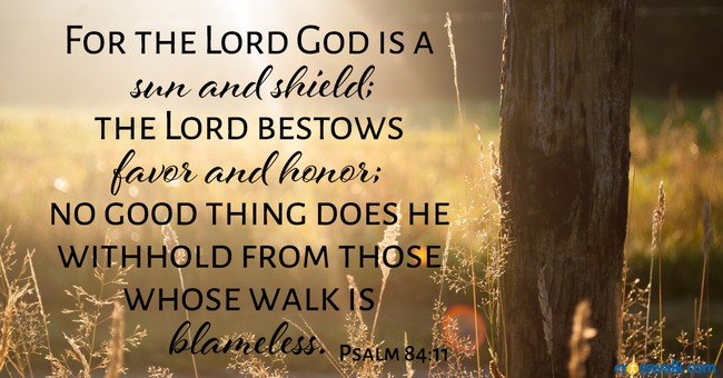 Psalm 84:11 inspirational image