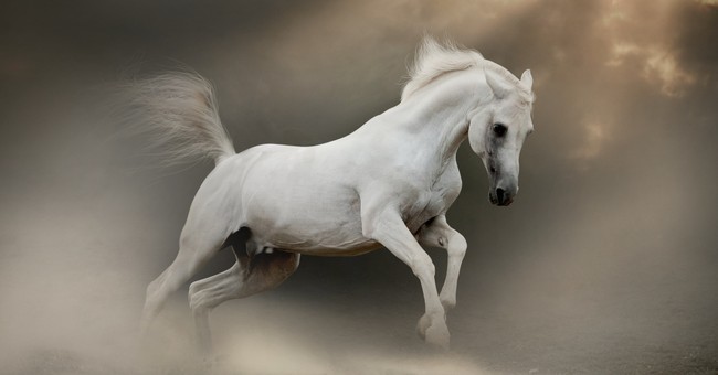 What Does A White Horse Symbolize In The Bible