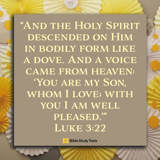 Believing God Is Pleased With Us Luke 3 22 Your Daily Bible Verse 