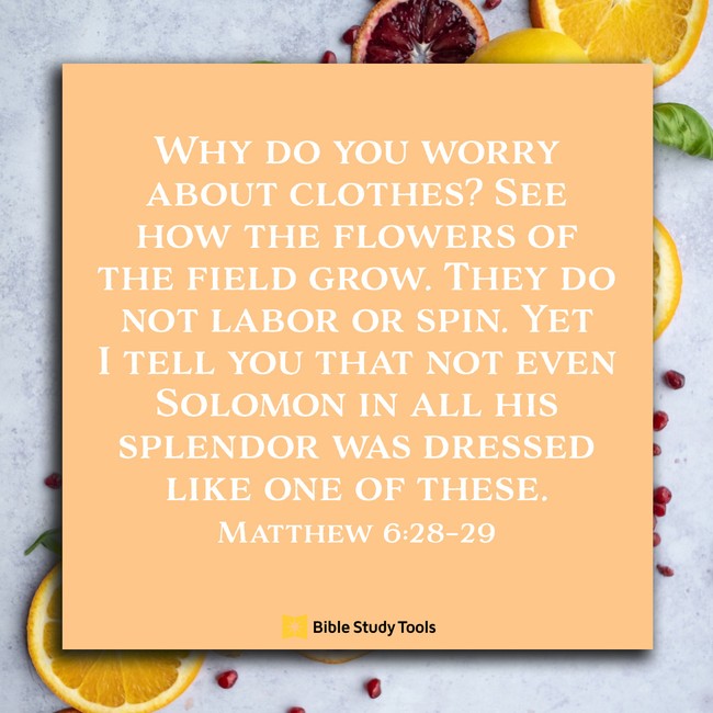 How Springtime Flowers Teach Us (Matthew 6:28–29) - Your Daily