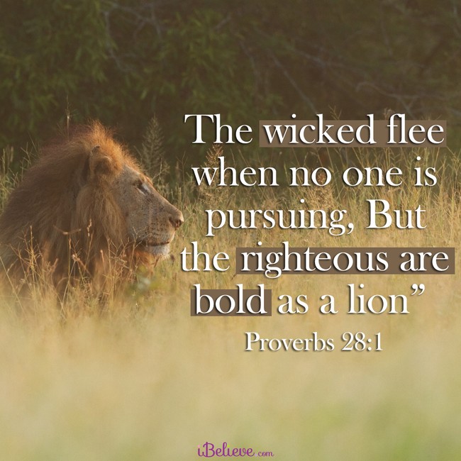 Proverbs 28:1, inspirational image