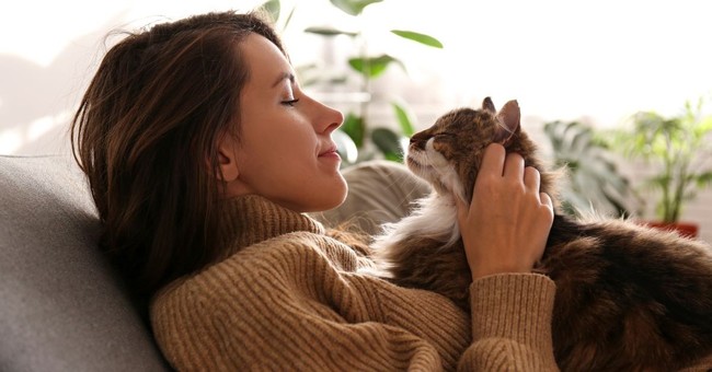 woman with cat laying on chest pet family pet cuddling