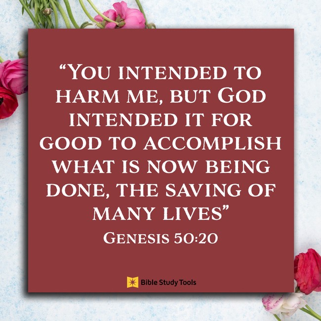 Trusting God S Direction For Our Lives Genesis 50 Your Daily Bible Verse May 15 Daily Devotional