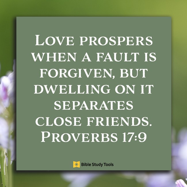Proverbs 17: 9;  inspiring image