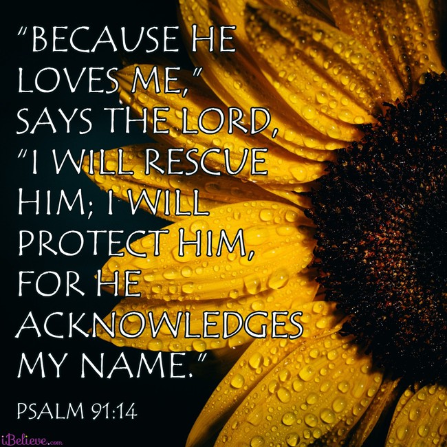 A Prayer To Trust God s Promises Your Daily Prayer July 26 a-prayer-to-trust-god-s-promises-your-daily-prayer-july-26