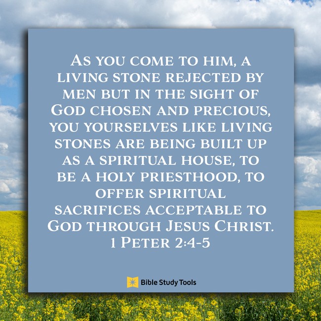 1 Peter 2:4-5, inspirational image