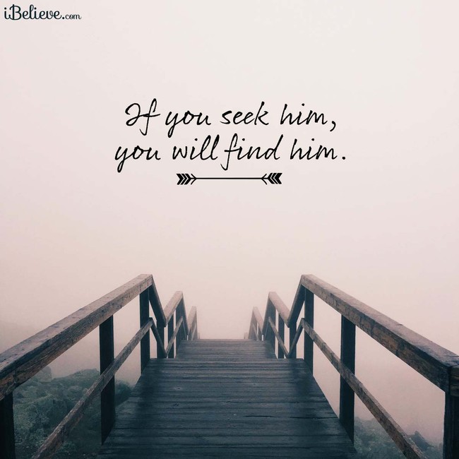 Search For Him