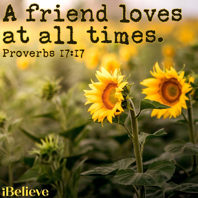 Proverbs 17:17 inspirational image
