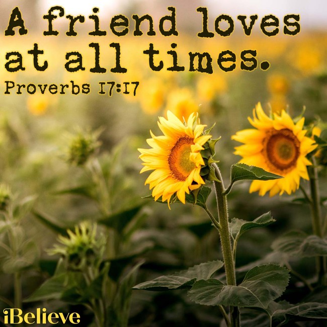 A Prayer for Friendships - Your Daily Prayer - July 23 - Morning Devotional