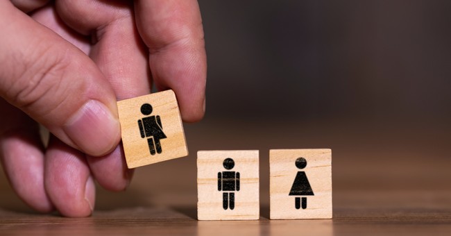 three gender options, PCUSA to add a non-binary gender option to their demographic questionnaire