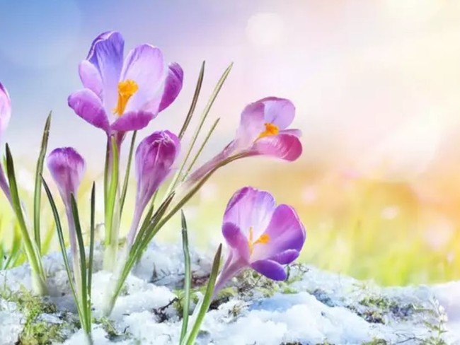 7 Powerful Promises of Easter