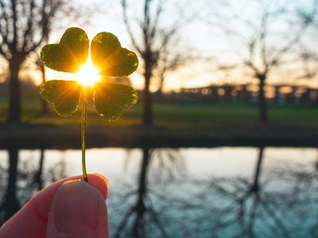 10 St. Patrick's Day Quotes and Blessings