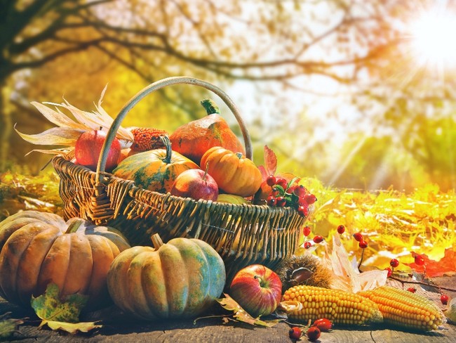 6 Biblical Lessons from the Fall Harvest
