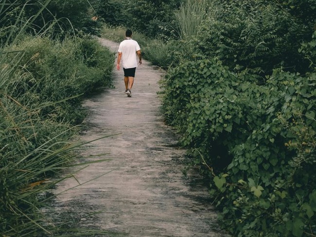 Why Creation Calms a Quarreling Heart