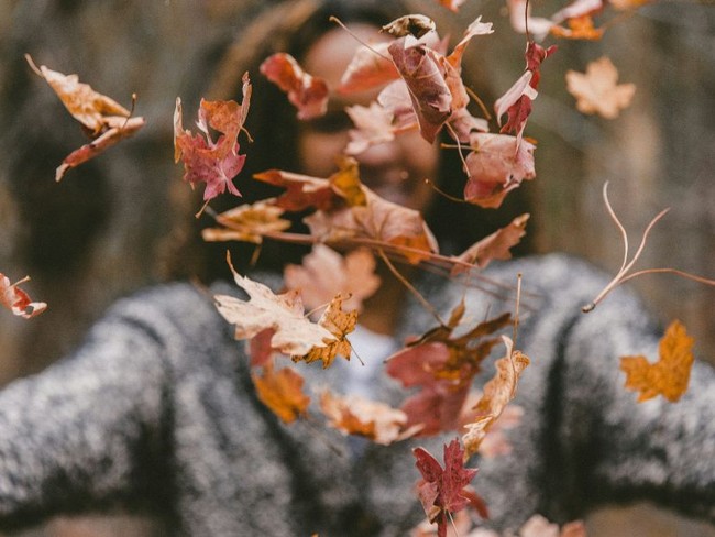 7 Fall Prayers for a Season of Gratitude and Change
