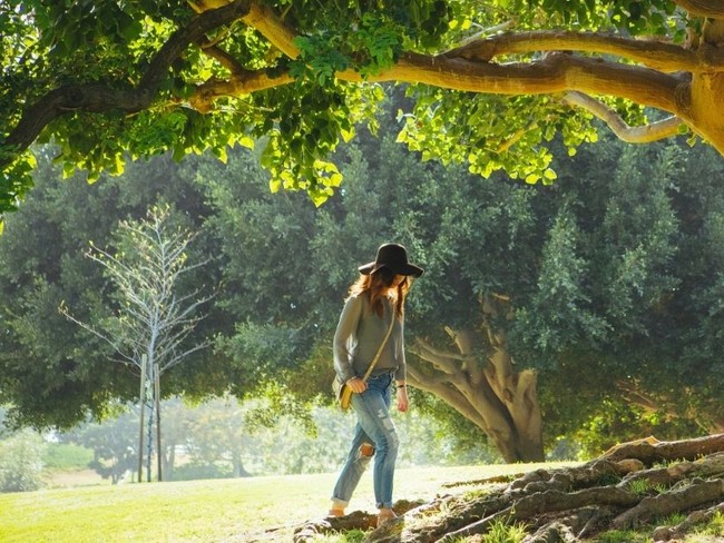 6 Trees in the Bible That Point Us to God's Justice, Mercy, and Eternal Life