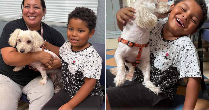 Nearly 3 Years After Their Dog Disappeared, One Scan Leads to the Reunion They Never Expected 
