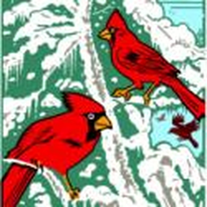 The Cardinal Duet: A Valentine's Day Rumination