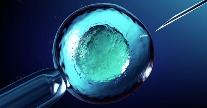 How Does the Bible Apply to in vitro fertilization (IVF)?